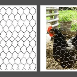 Galvanised Chicken Wire Mesh Rabbit Run Chicken Coop Fencing 5M X 0.6M X 50MM -Draper Tool Shop galvanised chicken wire mesh rabbit run chicken coop fencing 5m x 0 6m x 50mm5017193273628 03c MP