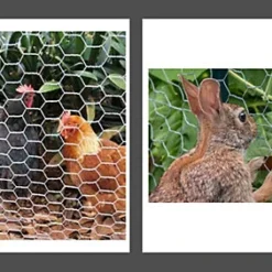 Galvanised Chicken Wire Mesh Rabbit Run Chicken Coop Fencing 5M X 0.6M X 50MM -Draper Tool Shop galvanised chicken wire mesh rabbit run chicken coop fencing 5m x 0 6m x 50mm5017193273628 04c MP
