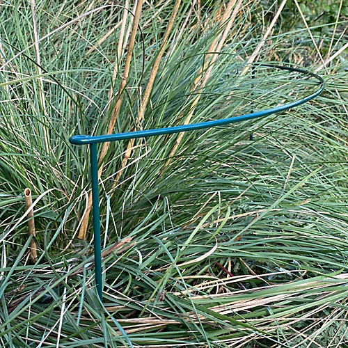 Garden Extra Wide Hoop Plant Bow Support System 90cm X 60cm (Pack Of 10) 3 Garden Extra Wide Hoop Plant Bow Support System 90cm X 60cm (Pack Of 10)