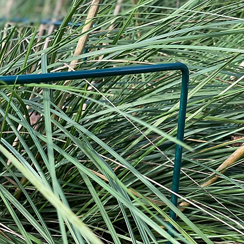 Garden Extra Wide Hoop Plant Bow Support System 90cm X 60cm (Pack Of 10) 5 Garden Extra Wide Hoop Plant Bow Support System 90cm X 60cm (Pack Of 10) - Image 3