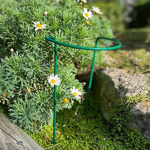 Garden Hoop Plant Bow Support System 20cm X 35cm (Pack Of 10) 3 Garden Hoop Plant Bow Support System 20cm X 35cm (Pack Of 10)
