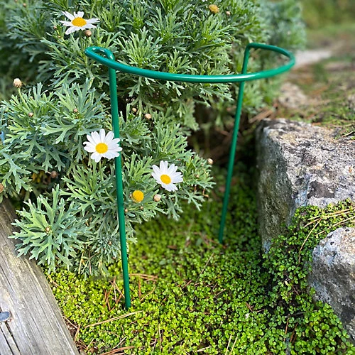 Garden Hoop Plant Bow Support System 20cm X 35cm (Pack Of 10) 4 Garden Hoop Plant Bow Support System 20cm X 35cm (Pack Of 10) - Image 2