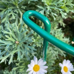 Garden Hoop Plant Bow Support System 20cm X 35cm (Pack Of 10) 9 Garden Hoop Plant Bow Support System 20cm X 35cm (Pack Of 10) -Draper Tool Shop garden hoop plant bow support system 20cm x 35cm pack of 10 5060266598241 04c MP