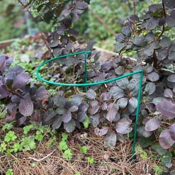 Garden Hoop Plant Bow Support System 30cm X 45cm (Pack Of 10)