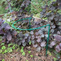 Garden Hoop Plant Bow Support System 30cm X 45cm (Pack Of 4)