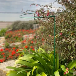 Garden Hoop Plant Bow Support System 45cm X 60cm (Pack Of 8) 7 Garden Hoop Plant Bow Support System 45cm X 60cm (Pack Of 8) -Draper Tool Shop garden hoop plant bow support system 45cm x 60cm pack of 8 5060575107561 03c MP