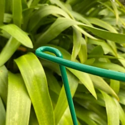 Garden Hoop Plant Bow Support System 52cm X 90cm (Pack Of 6) -Draper Tool Shop garden hoop plant bow support system 52cm x 90cm pack of 6 5060575107523 02c MP