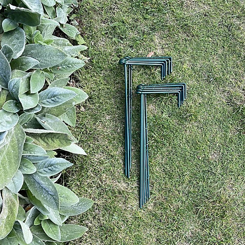 Garden Linked Metal Plant Support For Herbaceous Plants 50cm X 20cm (Pack Of 10) 3 Garden Linked Metal Plant Support For Herbaceous Plants 50cm X 20cm (Pack Of 10)