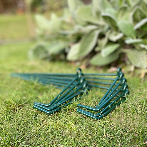 Garden Linked Metal Plant Support For Herbaceous Plants 50cm X 20cm (Pack Of 10) 5 Garden Linked Metal Plant Support For Herbaceous Plants 50cm X 20cm (Pack Of 10) - Image 3