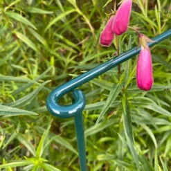 Garden Linked Metal Plant Support For Herbaceous Plants 50cm X 20cm (Pack Of 10) 9 Garden Linked Metal Plant Support For Herbaceous Plants 50cm X 20cm (Pack Of 10) -Draper Tool Shop garden linked metal plant support for herbaceous plants 50cm x 20cm pack of 10 5060575102566 04c MP