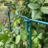 Garden Linked Metal Plant Support For Herbaceous Plants 70cm X 30cm (Pack Of 10)