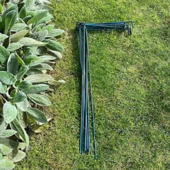 Garden Linked Metal Plant Support For Herbaceous Plants 70cm X 30cm (Pack Of 10) 8 Garden Linked Metal Plant Support For Herbaceous Plants 70cm X 30cm (Pack Of 10) -Draper Tool Shop garden linked metal plant support for herbaceous plants 70cm x 30cm pack of 10 5060575102559 03c MP