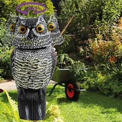 Garden Outdoor Life Sized Bird Cat Small Animal Mammal Scaring Device Deterant 8 Garden Outdoor Life Sized Bird Cat Small Animal Mammal Scaring Device Deterant -Draper Tool Shop garden outdoor life sized bird cat small animal mammal scaring device deterant5021196016434 03c MP