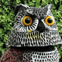 Garden Outdoor Life Sized Bird Cat Small Animal Mammal Scaring Device Deterant 9 Garden Outdoor Life Sized Bird Cat Small Animal Mammal Scaring Device Deterant -Draper Tool Shop garden outdoor life sized bird cat small animal mammal scaring device deterant5021196016434 04c MP