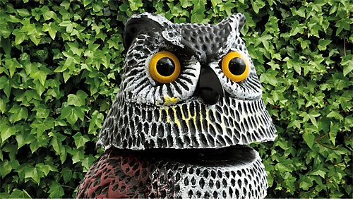 Garden Outdoor Life Sized Bird Cat Small Animal Mammal Scaring Device Deterant 6 Garden Outdoor Life Sized Bird Cat Small Animal Mammal Scaring Device Deterant - Image 4