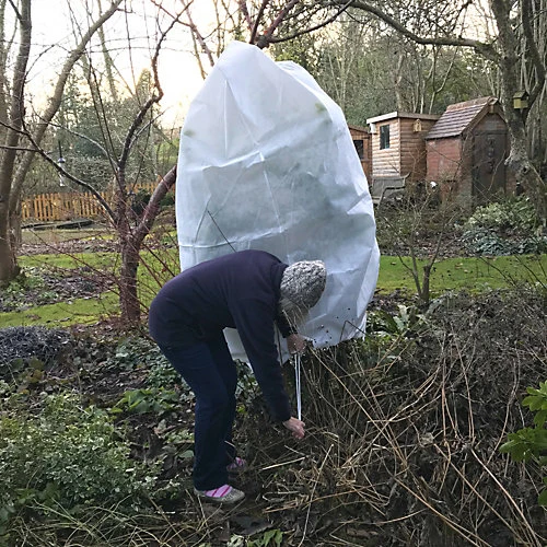 GardenSkill Extra Thick 50GSM Frost Protection Fleece Winter Warmer Plant Jacket 1.6 X 2m H 6 GardenSkill Extra Thick 50GSM Frost Protection Fleece Winter Warmer Plant Jacket 1.6 X 2m H - Image 4