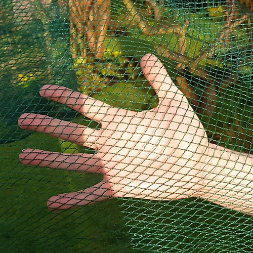 GardenSkill Soft Butterfly & Insect Mesh Netting For Protecting Cabbages Brassicas 8m X 10m 5 GardenSkill Soft Butterfly & Insect Mesh Netting For Protecting Cabbages Brassicas 8m X 10m - Image 3