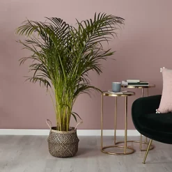 GoodHome Black Seagrass Herringbone Circular Plant Pot (Dia)25cm -Draper Tool Shop goodhome black seagrass herringbone circular plant pot dia 25cm3663602442516 01i bq