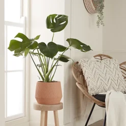 GoodHome Lummi Beige Terracotta Slanting Stripes Circular Plant Pot (Dia)23.5cm -Draper Tool Shop goodhome lummi beige terracotta slanting stripes circular plant pot dia 23 5cm5059340327914 01i