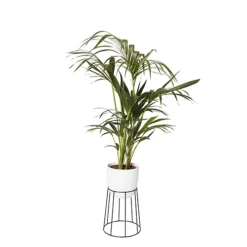 GoodHome Metal Pot Stand 8 GoodHome Metal Pot Stand -Draper Tool Shop goodhome metal pot stand3663602442387 21c bq