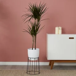 GoodHome White Ceramic Circular Plant Pot (Dia)21.5cm -Draper Tool Shop goodhome white ceramic circular plant pot dia 21 5cm3663602440826 01i bq