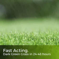 Green Snow - Iron Sulphate 1kg (1000m²) -Draper Tool Shop green snow iron sulphate 1kg 1000m 5065007977910 02c MP