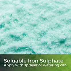 Green Snow - Iron Sulphate 1kg (1000m²) -Draper Tool Shop green snow iron sulphate 1kg 1000m 5065007977910 03c MP