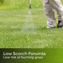 Green Snow - Iron Sulphate 1kg (1000m²) -Draper Tool Shop green snow iron sulphate 1kg 1000m 5065007977910 04c MP