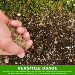 Ground Master Premium General Purpose Grass Seed - High-Quality Seed For Lush And Healthy Lawns (10KG) -Draper Tool Shop ground master premium general purpose grass seed high quality seed for lush and healthy lawns 10kg 5051644111176 03c MP