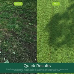 Ground Master Premium General Purpose Grass Seed - High-Quality Seed For Lush And Healthy Lawns (25KG) -Draper Tool Shop ground master premium general purpose grass seed high quality seed for lush and healthy lawns 25kg 5051644111480 04c MP