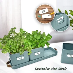 Herb Pots For Kitchen Windowsill With Leather Handles Ideal For Growing Indoor Plants With Tray (Teal Blue) 8 Herb Pots For Kitchen Windowsill With Leather Handles Ideal For Growing Indoor Plants With Tray (Teal Blue) -Draper Tool Shop herb pots for kitchen windowsill with leather handles ideal for growing indoor plants with tray teal blue 5060766073736 03c MP