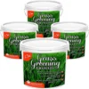 Homefront Grass Greening Granules Lawn Fertiliser - Strengthens, Greens And Creates Healthier Grass 10kg -Draper Tool Shop homefront grass greening granules lawn fertiliser strengthens greens and creates healthier grass 10kg5056411326753 01c MP