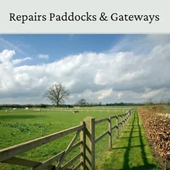 Horse Paddock Grass Seeds - Fast Growing Grass Seed For Repairs On Pastures & Gateways - Ultra Hard Wearing - 20kg - Garden -Draper Tool Shop horse paddock grass seeds fast growing grass seed for repairs on pastures gateways ultra hard wearing 20kg garden5060989690208 02c MP