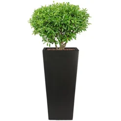 IDEALIST Black Light Concrete Garden Tall Planter, Outdoor Plant Pot With Tapered Shape H38.5 L18.5 W18.5 Cm, 13L -Draper Tool Shop idealist black light concrete garden tall planter outdoor plant pot with tapered shape h38 5 l18 5 w18 5 cm 13l5060874790044 03c MP