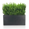 IDEALIST Contemporary Faux Lead Dark Grey Concrete Trough Planter H30 L60 W30 Cm, 54L -Draper Tool Shop idealist contemporary faux lead dark grey concrete trough planter h30 l60 w30 cm 54l5000124401788 01c MP