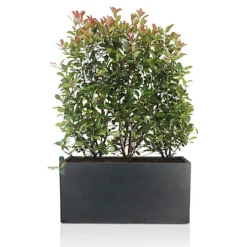 IDEALIST Contemporary Faux Lead Dark Grey Concrete Trough Planter H30 L60 W30 Cm, 54L -Draper Tool Shop idealist contemporary faux lead dark grey concrete trough planter h30 l60 w30 cm 54l5000124401788 03c MP