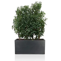 IDEALIST Contemporary Trough Garden Planter, Faux Lead Dark Grey Concrete Light Outdoor Large Plant Pot H37.5 L80 W37 Cm, 111L -Draper Tool Shop idealist contemporary trough garden planter faux lead dark grey concrete light outdoor large plant pot h37 5 l80 w37 cm 111l5000124401795 03c MP