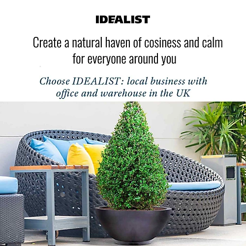 IDEALIST Dish Style Smooth Black Garden Bowl Planter, Outdoor Plant Pot D45 H20 Cm, 32L 6 IDEALIST Dish Style Smooth Black Garden Bowl Planter, Outdoor Plant Pot D45 H20 Cm, 32L - Image 4