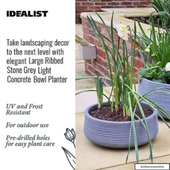 IDEALIST Large Ribbed Stone Grey Light Concrete Garden Bowl Planter, Outdoor Plant Pot H12 D31 Cm, 9L -Draper Tool Shop idealist large ribbed stone grey light concrete garden bowl planter outdoor plant pot h12 d31 cm 9l5000124403683 03c MP