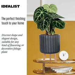 IDEALIST Modern Ribbed Black Cylinder Planter With Legs, Round Indoor Plant Pot Stand For Indoor Plants D24 H32 Cm, 7.6L 9 IDEALIST Modern Ribbed Black Cylinder Planter With Legs, Round Indoor Plant Pot Stand For Indoor Plants D24 H32 Cm, 7.6L -Draper Tool Shop idealist modern ribbed black cylinder planter with legs round indoor plant pot stand for indoor plants d24 h32 cm 7 6l5060874791843 06c MP