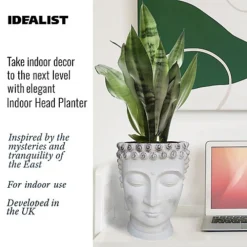 IDEALIST White Face Head Buddha Face Planter Table, Oval Indoor Head Plant Pot For Indoor Plants L19 W18 H24 Cm, 2.6L -Draper Tool Shop idealist white face head buddha face planter table oval indoor head plant pot for indoor plants l19 w18 h24 cm 2 6l5060874792543 02c MP