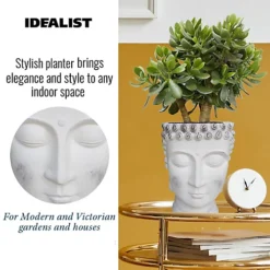 IDEALIST White Face Head Buddha Face Planter Table, Oval Indoor Head Plant Pot For Indoor Plants L19 W18 H24 Cm, 2.6L -Draper Tool Shop idealist white face head buddha face planter table oval indoor head plant pot for indoor plants l19 w18 h24 cm 2 6l5060874792543 03c MP