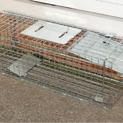 Indoor Outdoor Collapsible Live Animal Humane Trap For Pests Rabbits, Squirrels -Draper Tool Shop indoor outdoor collapsible live animal humane trap for pests rabbits squirrels5021196814443 03c MP