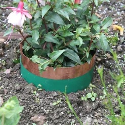 Katcha Slug & Snail Barrier Circles 4m -Draper Tool Shop katcha slug snail barrier circles 4m5020873056336 02c MP