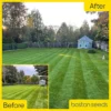 KissMyGrass Autumn & Winter Lawn Fertiliser 6.5.10 + Fe + Mg (1 X 20kg) 1 KissMyGrass Autumn & Winter Lawn Fertiliser 6.5.10 + Fe + Mg (1 X 20kg) -Draper Tool Shop kissmygrass autumn winter lawn fertiliser 6 5 10 fe mg 1 x 20kg 00003569 01c MP
