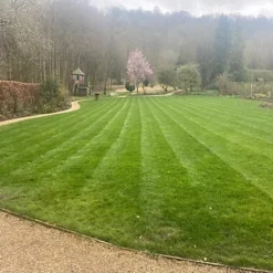 KissMyGrass Autumn & Winter Lawn Fertiliser 6.5.10 + Fe + Mg (1 X 20kg) 8 KissMyGrass Autumn & Winter Lawn Fertiliser 6.5.10 + Fe + Mg (1 X 20kg) -Draper Tool Shop kissmygrass autumn winter lawn fertiliser 6 5 10 fe mg 1 x 20kg 00003569 03c MP