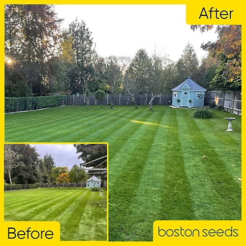 KissMyGrass Autumn & Winter Lawn Fertiliser 6.5.10 + Fe + Mg (1 X 5kg) 3 KissMyGrass Autumn & Winter Lawn Fertiliser 6.5.10 + Fe + Mg (1 X 5kg)