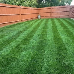 KissMyGrass Autumn & Winter Lawn Fertiliser 6.5.10 + Fe + Mg (25 X 20kg) -Draper Tool Shop kissmygrass autumn winter lawn fertiliser 6 5 10 fe mg 25 x 20kg 00003567 02c MP