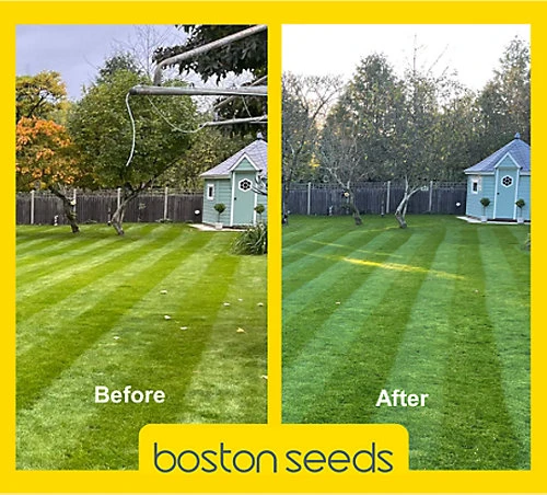 KissMyGrass Autumn & Winter Lawn Fertiliser 6.5.10 + Fe + Mg (5 X 20kg) 3 KissMyGrass Autumn & Winter Lawn Fertiliser 6.5.10 + Fe + Mg (5 X 20kg)