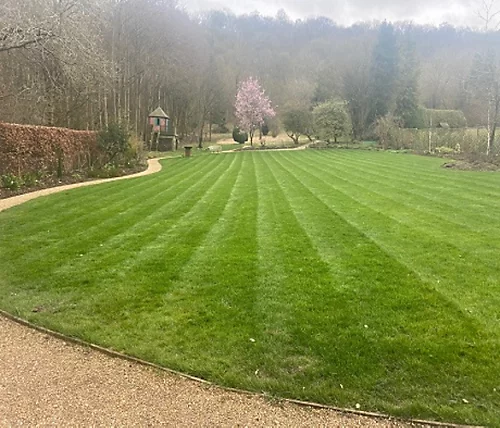 KissMyGrass Autumn & Winter Lawn Fertiliser 6.5.10 + Fe + Mg (5 X 20kg) 5 KissMyGrass Autumn & Winter Lawn Fertiliser 6.5.10 + Fe + Mg (5 X 20kg) - Image 3